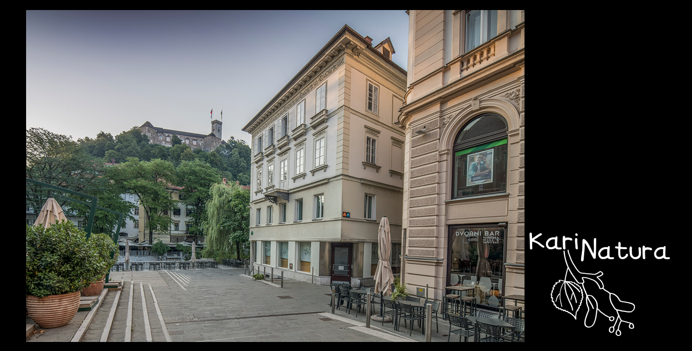 igranjeNaslovnaCrnaN5