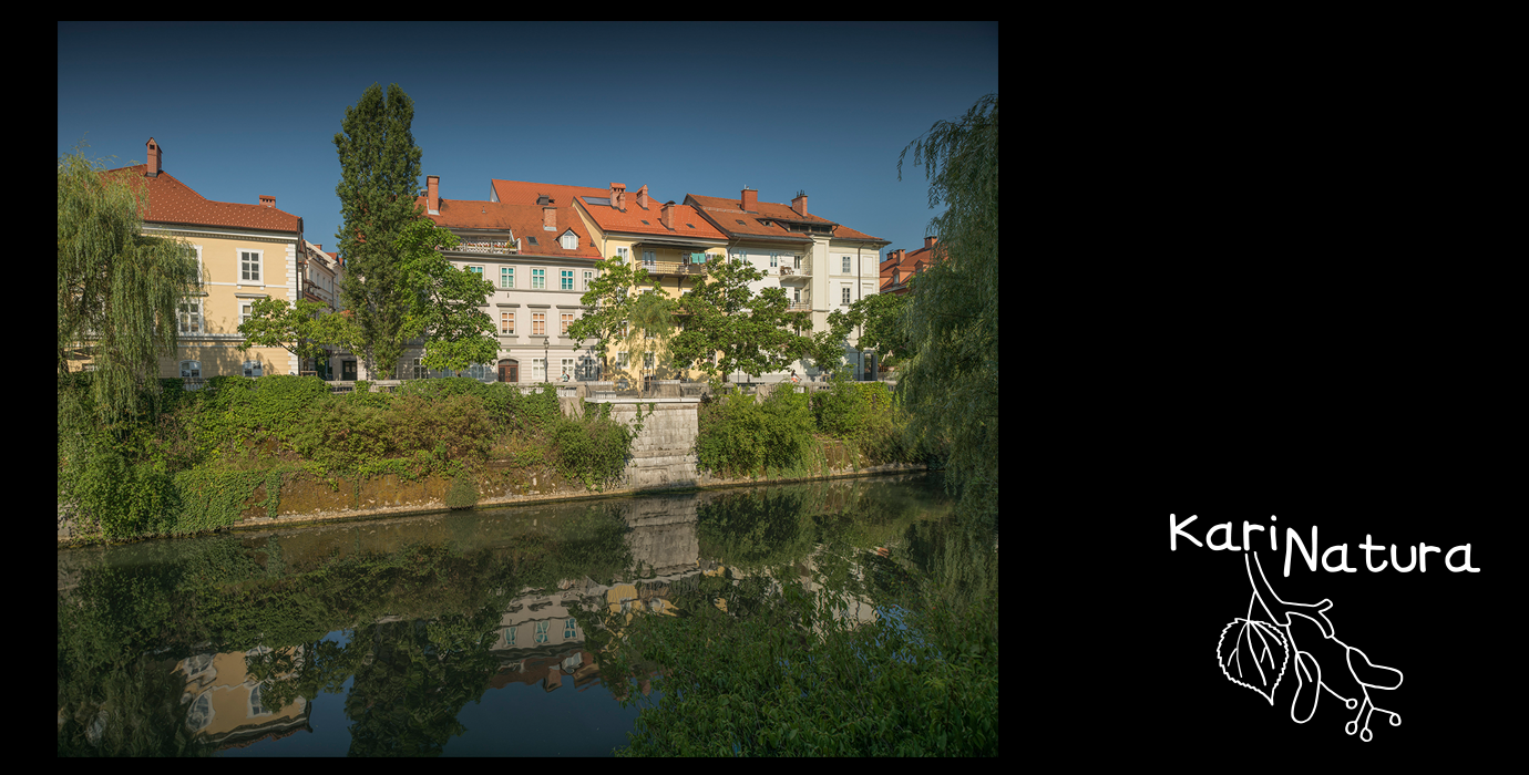 igranjeNaslovnaCrnaN7